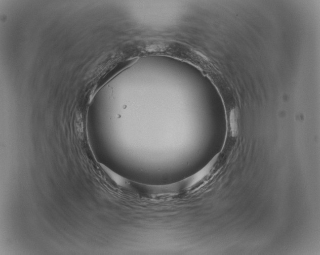 X0000071811443200607141558