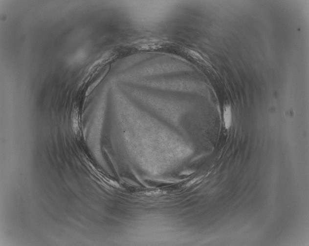 X0000071811444200607141558