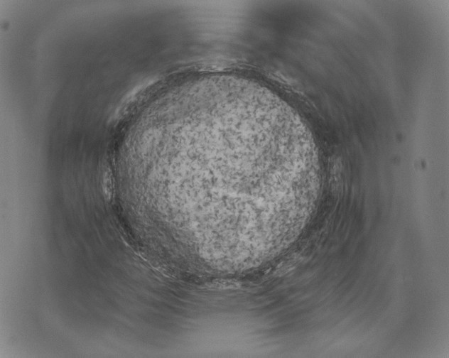 X0000071811446200607141558