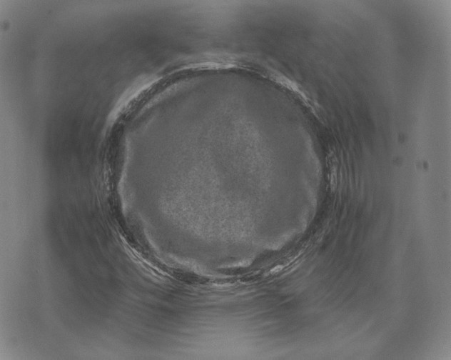 X0000071811448200607141558