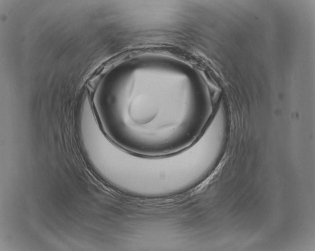 X0000071811449200607141558