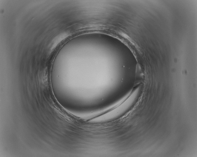 X0000071811450200607141558