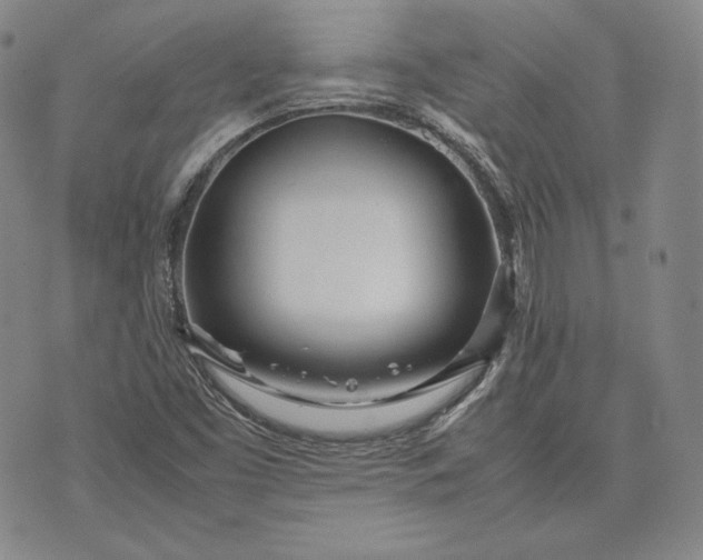 X0000071811453200607141558