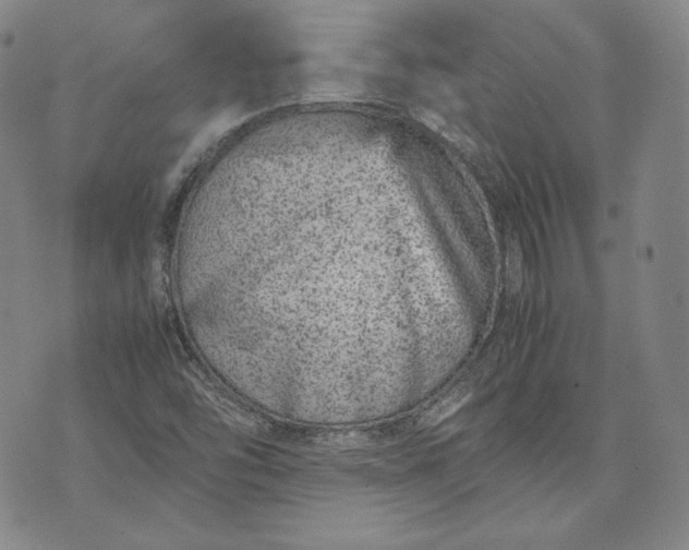 X0000071811454200607141558