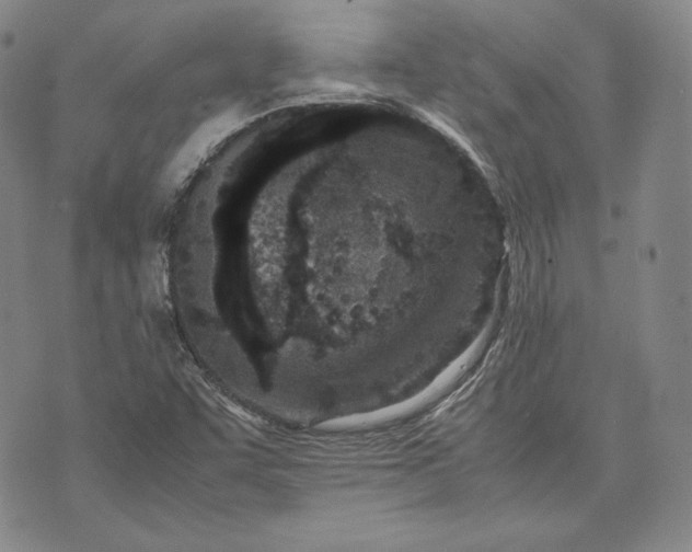 X0000071811455200607141558