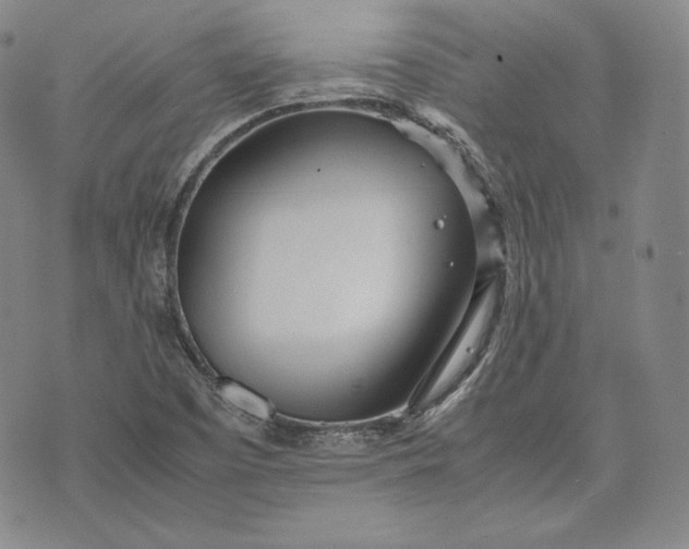 X0000071811457200607141558