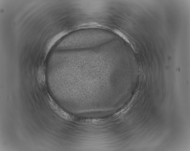 X0000071811458200607141558