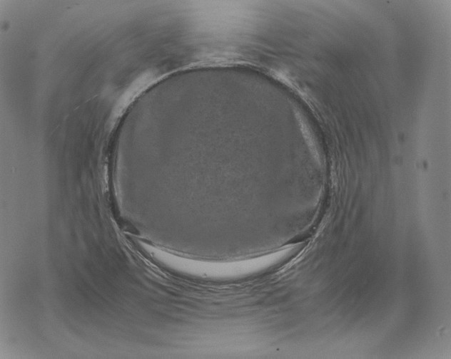 X0000071811459200607141558