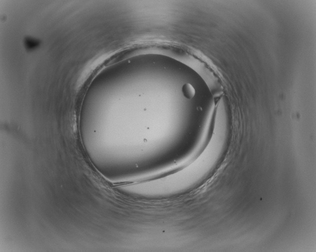 X0000071811461200607141558