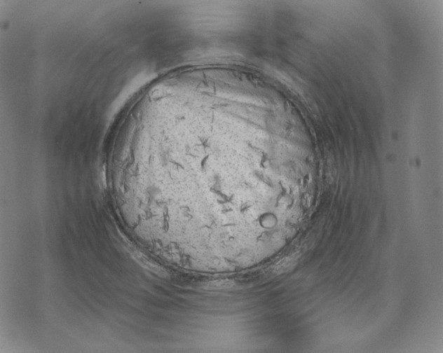 X0000071811462200607141558