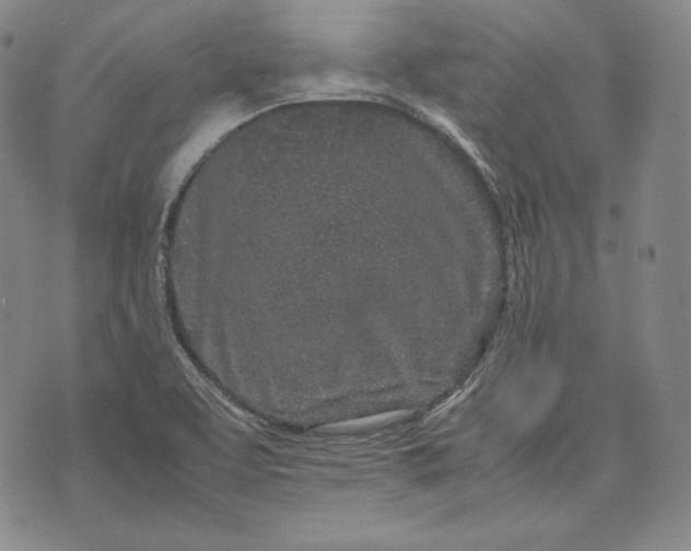 X0000071811463200607141558