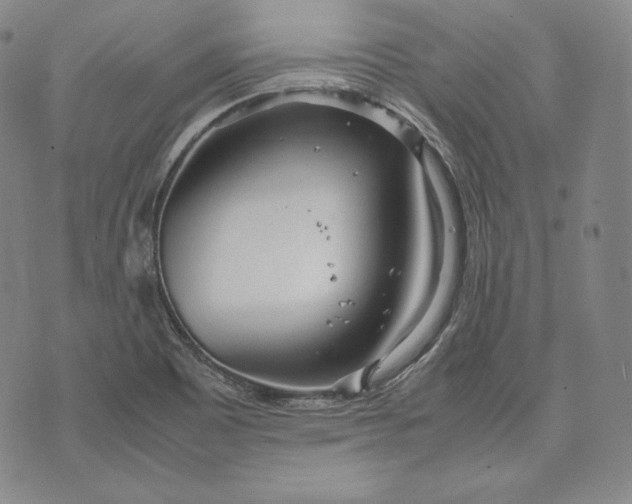 X0000071811465200607141558