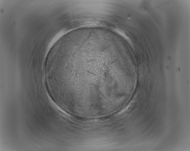 X0000071811467200607141558