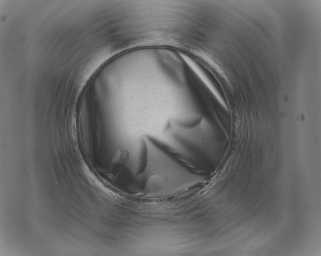 X0000071811468200607141558