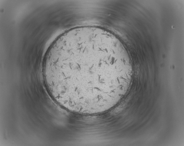 X0000071811470200607141558