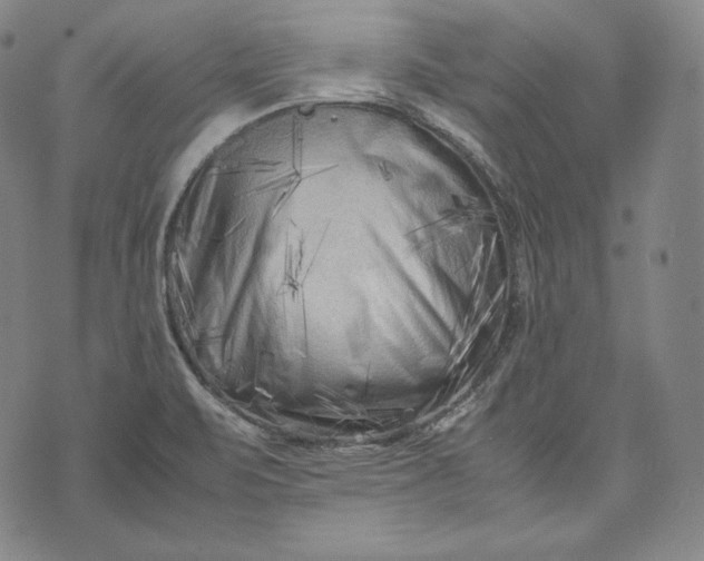 X0000071811471200607141558