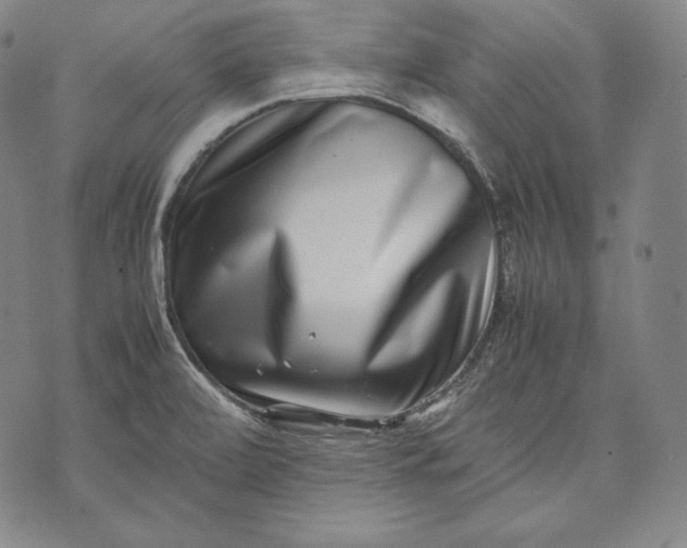 X0000071811472200607141558