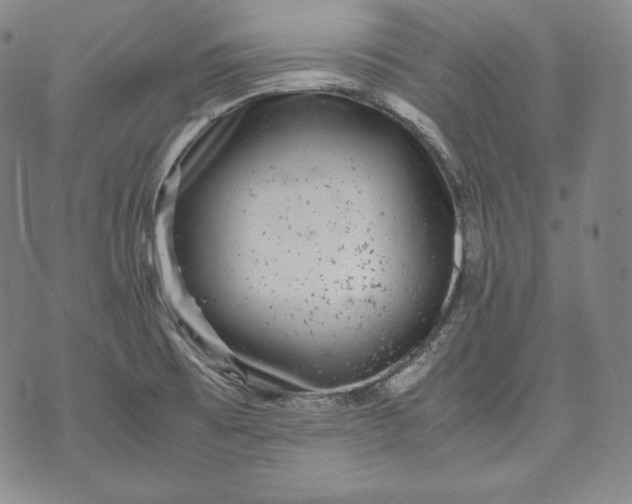 X0000071811473200607141558