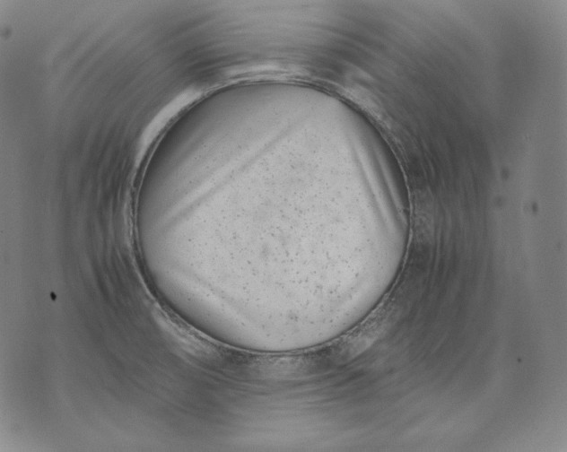 X0000071811474200607141558