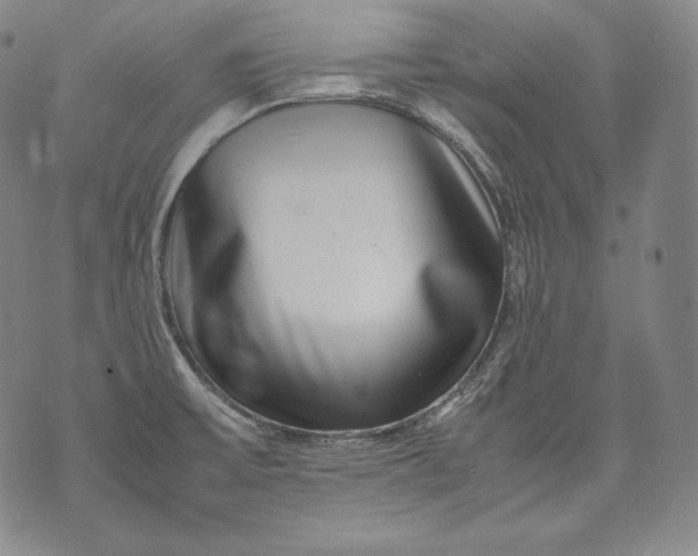 X0000071811475200607141558