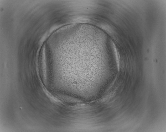 X0000071811478200607141558