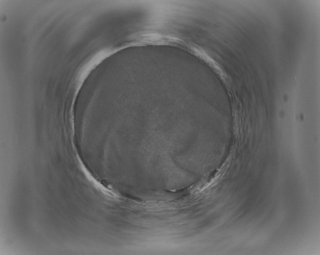 X0000071811479200607141558