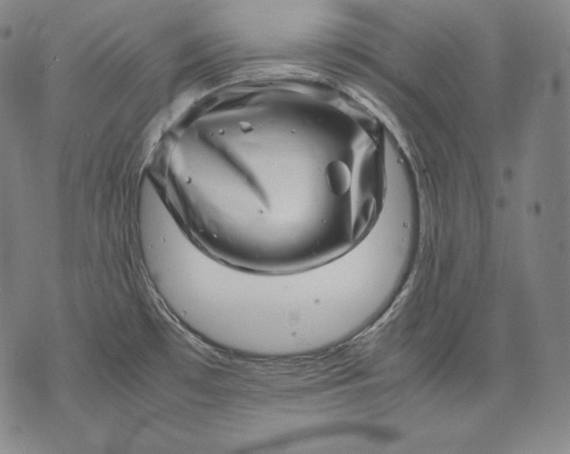 X0000071811481200607141558