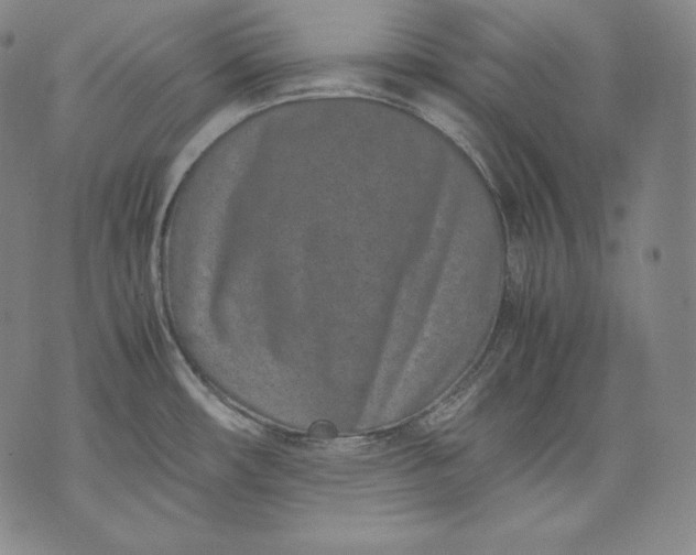 X0000071811482200607141558