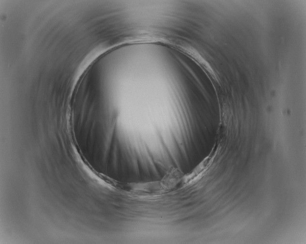 X0000071811484200607141558