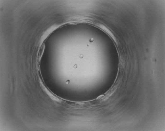 X0000071811485200607141558