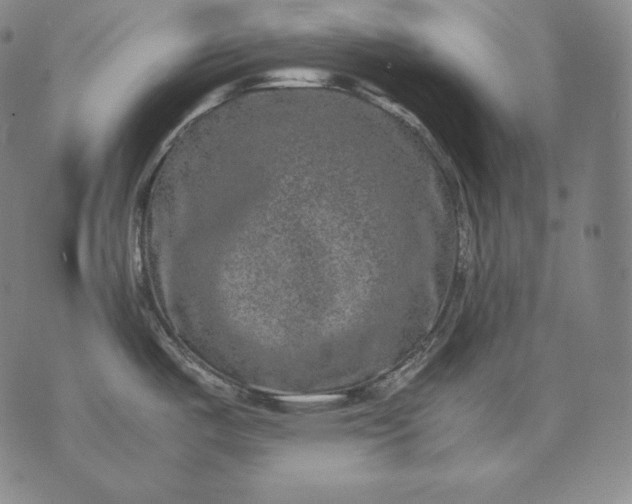 X0000071811487200607141558