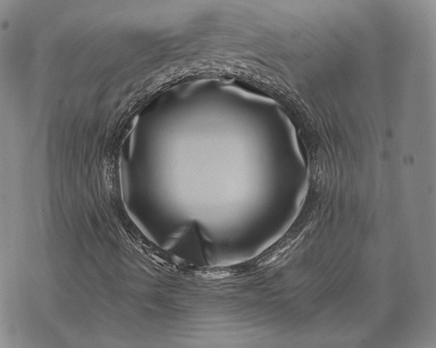 X0000071811490200607141557