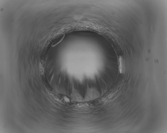 X0000071811491200607141557