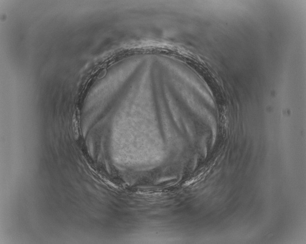 X0000071811493200607141557