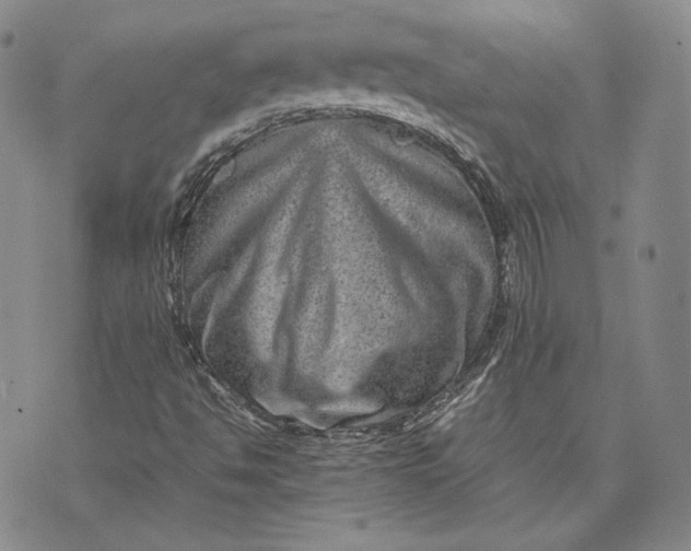 X0000071811494200607141557