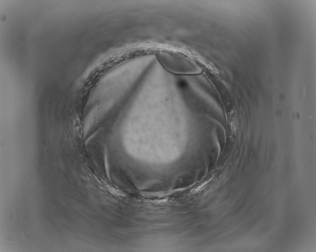 X0000071811495200607141557