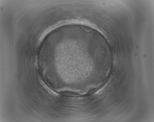 X0000071811499200607141557