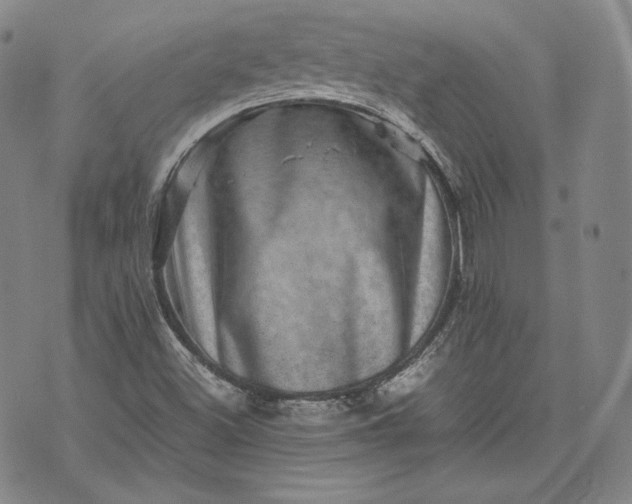 X0000071811500200607141557