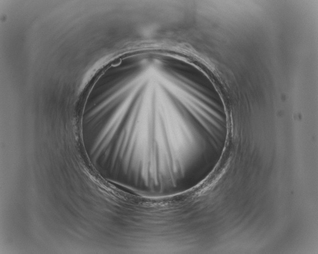 X0000071811501200607141557