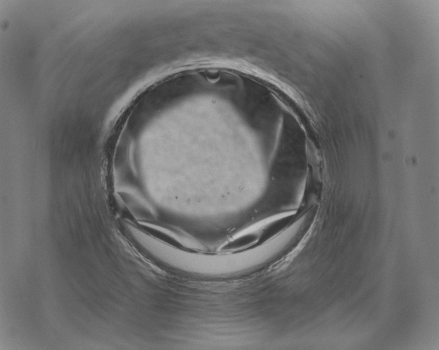 X0000071811502200607141557