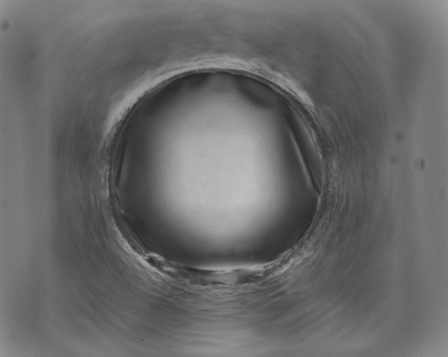 X0000071811504200607141557