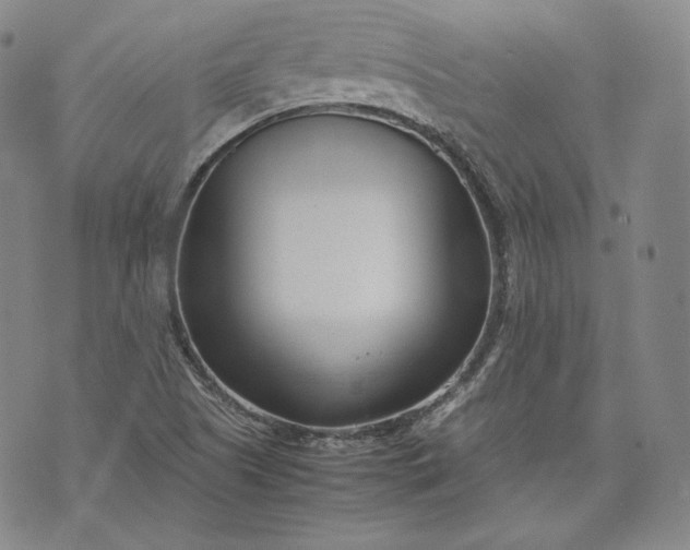 X0000071811505200607141557