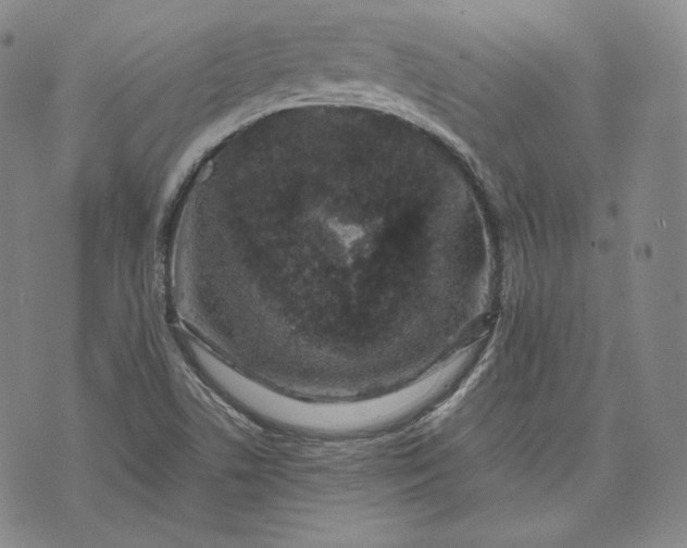 X0000071811506200607141557