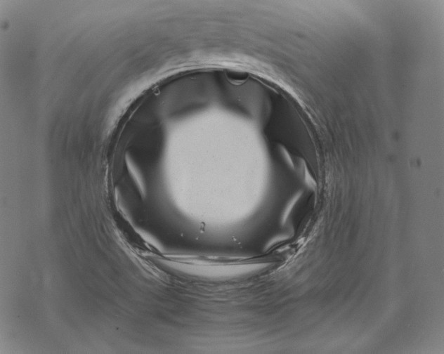 X0000071811507200607141557