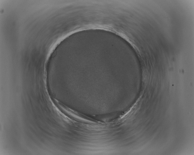 X0000071811508200607141557