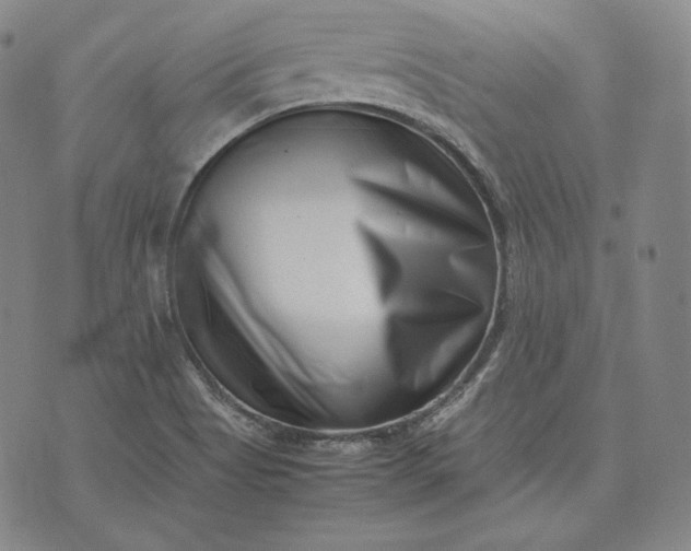 X0000071811513200607141557