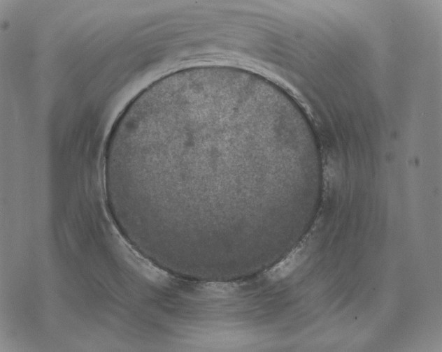 X0000071811514200607141557