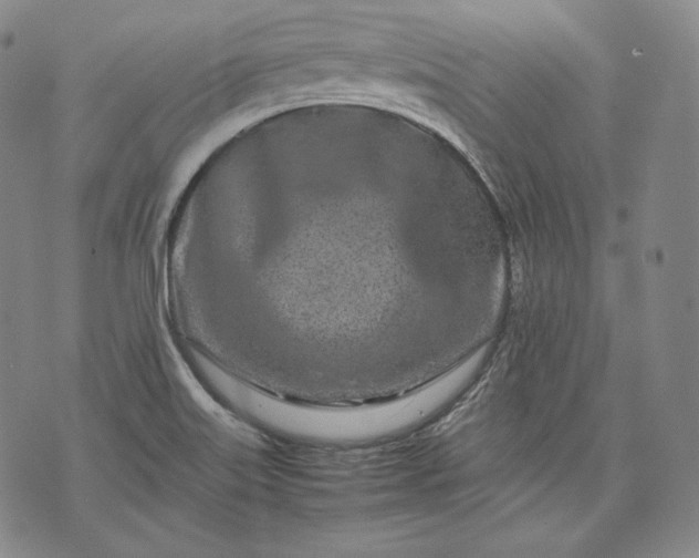 X0000071811515200607141557