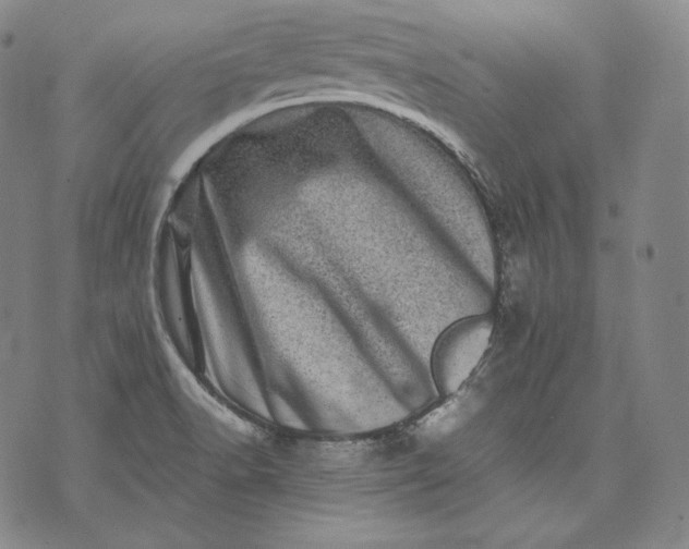 X0000071811518200607141557