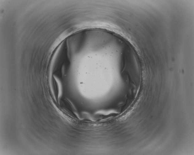 X0000071811521200607141557